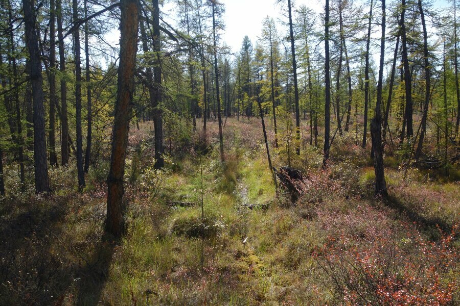 Klicke auf die Grafik für eine vergrößerte Ansicht  Name: tscherskigebirge146.jpg Ansichten: 0 Größe: 223,7 KB ID: 3128967