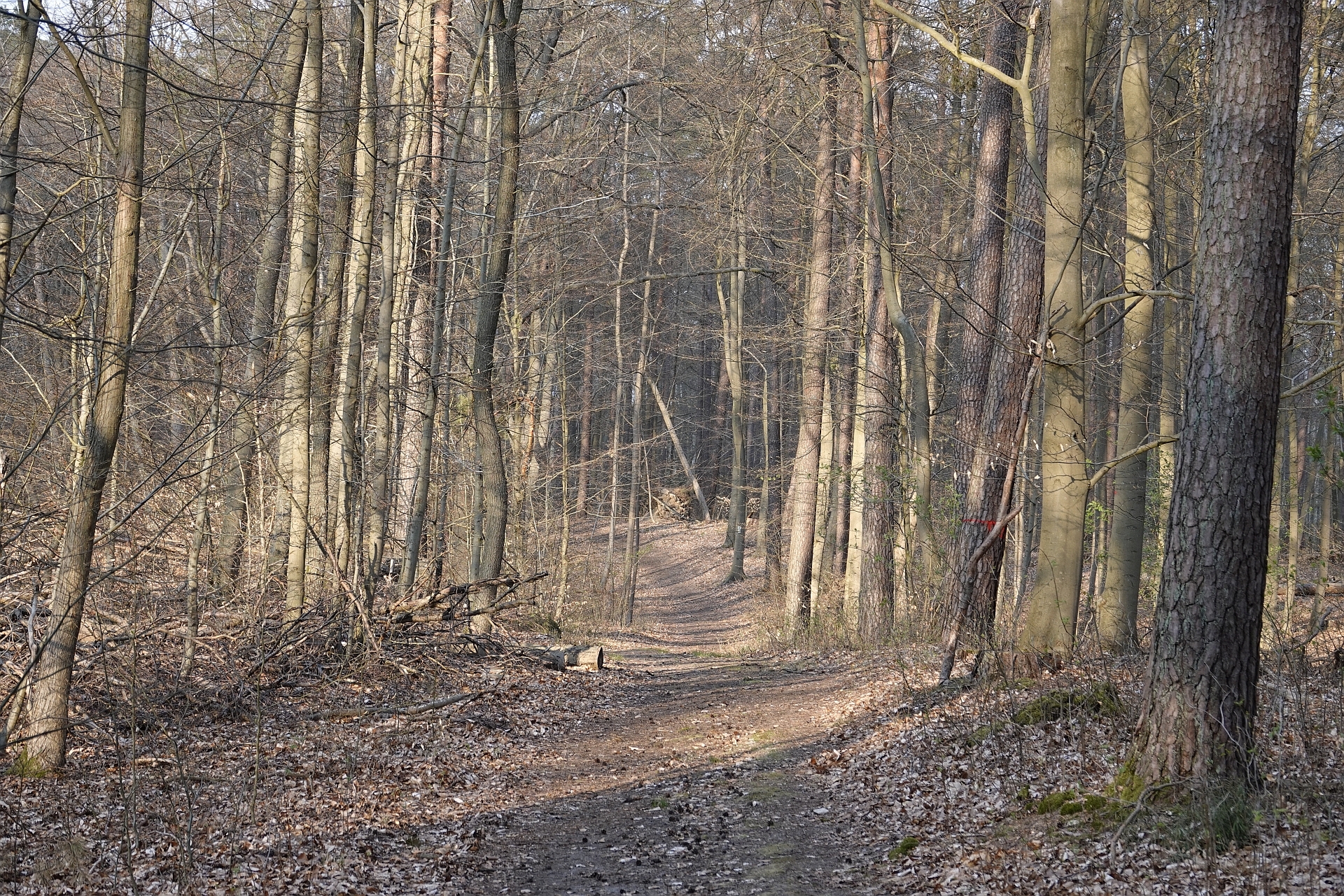 Klicke auf die Grafik für eine vergrößerte Ansicht  Name: Y6727.JPG Ansichten: 0 Größe: 2,61 MB ID: 3130445