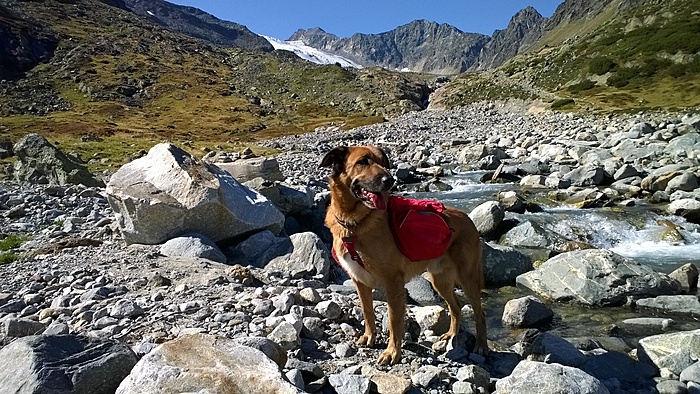 Klicke auf die Grafik für eine vergrößerte Ansicht

Name: stubai_20180920_073.jpg
Ansichten: 309
Größe: 3,27 MB
ID: 3131014