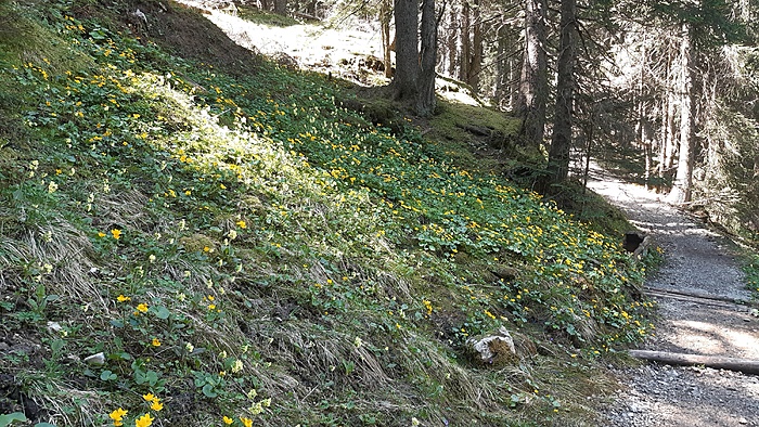 Klicke auf die Grafik für eine vergrößerte Ansicht

Name: 20220512_123646.jpg
Ansichten: 285
Größe: 5,14 MB
ID: 3131017