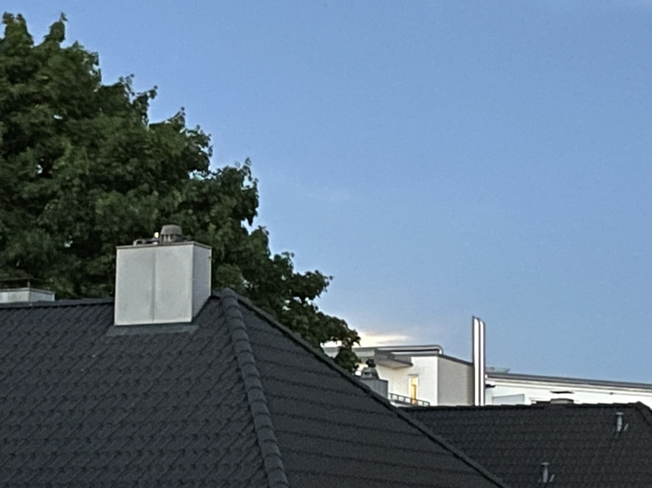 Klicke auf die Grafik für eine vergrößerte Ansicht

Name: 7BE679C6-F503-46A4-95FF-6F92752A16D5.jpeg
Ansichten: 327
Größe: 197,4 KB
ID: 3131072