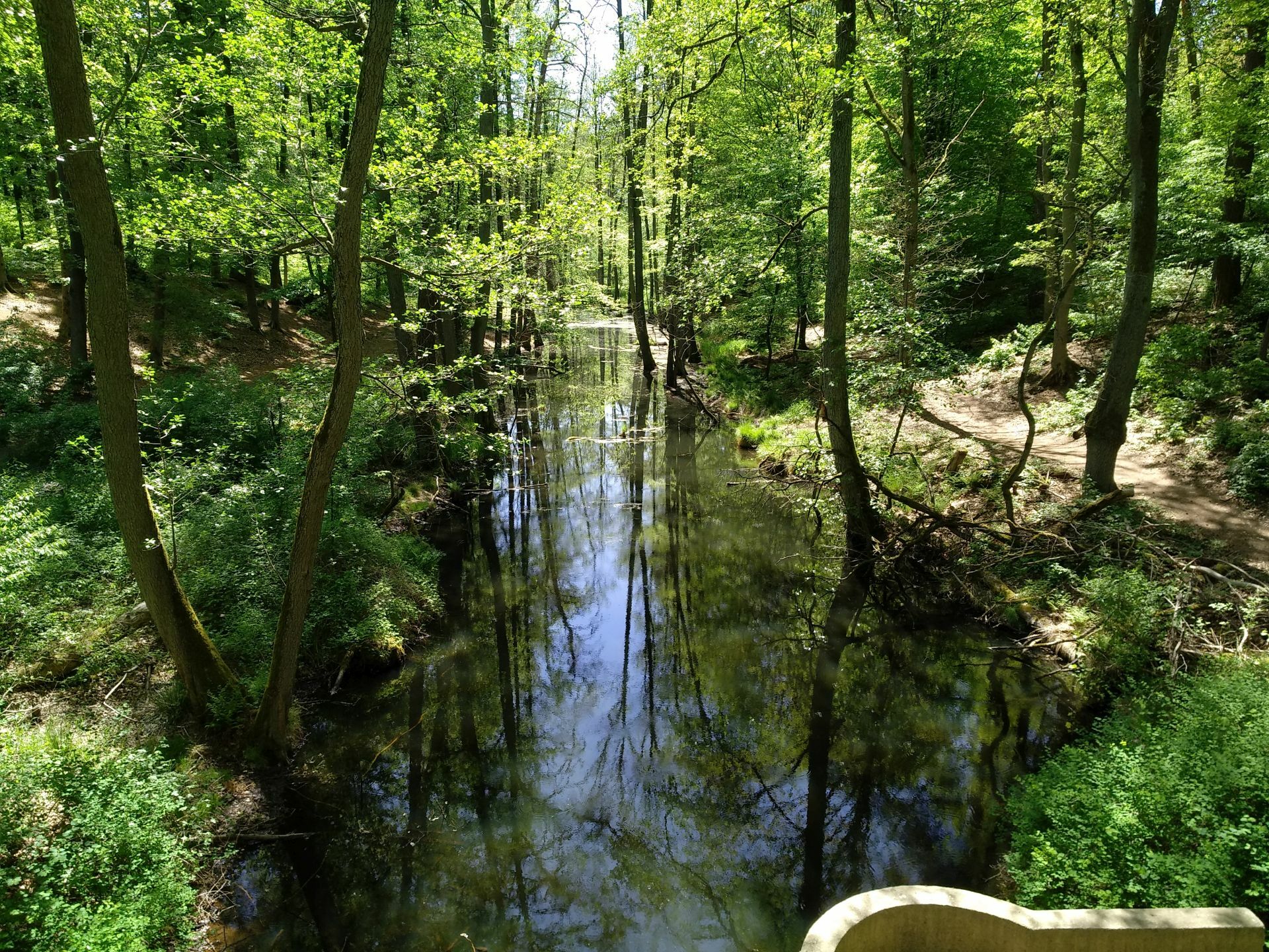 Klicke auf die Grafik für eine vergrößerte Ansicht  Name: 20220515_131603.jpg Ansichten: 0 Größe: 947,1 KB ID: 3131111