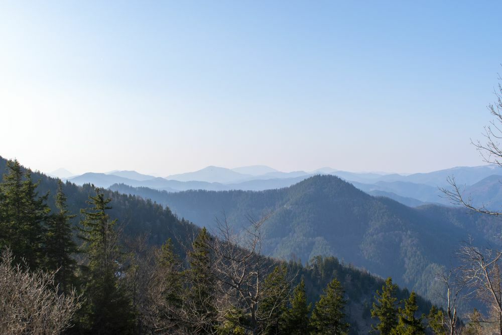 Klicke auf die Grafik für eine vergrößerte Ansicht  Name: 21 Die Gutensteiner Alpen am späten Nachmittag beim Öhlerschutzhaus.jpg Ansichten: 0 Größe: 75,4 KB ID: 3131439