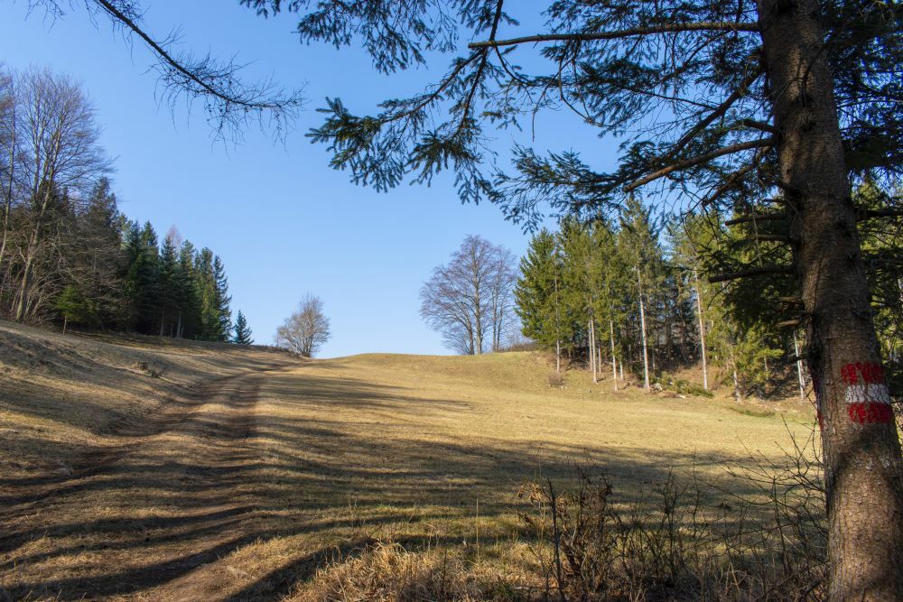 Klicke auf die Grafik für eine vergrößerte Ansicht  Name: 02 Aufstieg hinter Reichental.jpg Ansichten: 0 Größe: 180,0 KB ID: 3131441