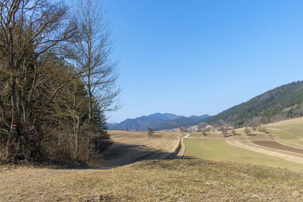 Klicke auf die Grafik für eine vergrößerte Ansicht  Name: 03 Die Gutensteiner Alpen.jpg Ansichten: 0 Größe: 151,9 KB ID: 3131443