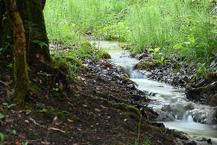 Klicke auf die Grafik für eine vergrößerte Ansicht

Name: DSC_0147.JPG
Ansichten: 749
Größe: 183,8 KB
ID: 3132768