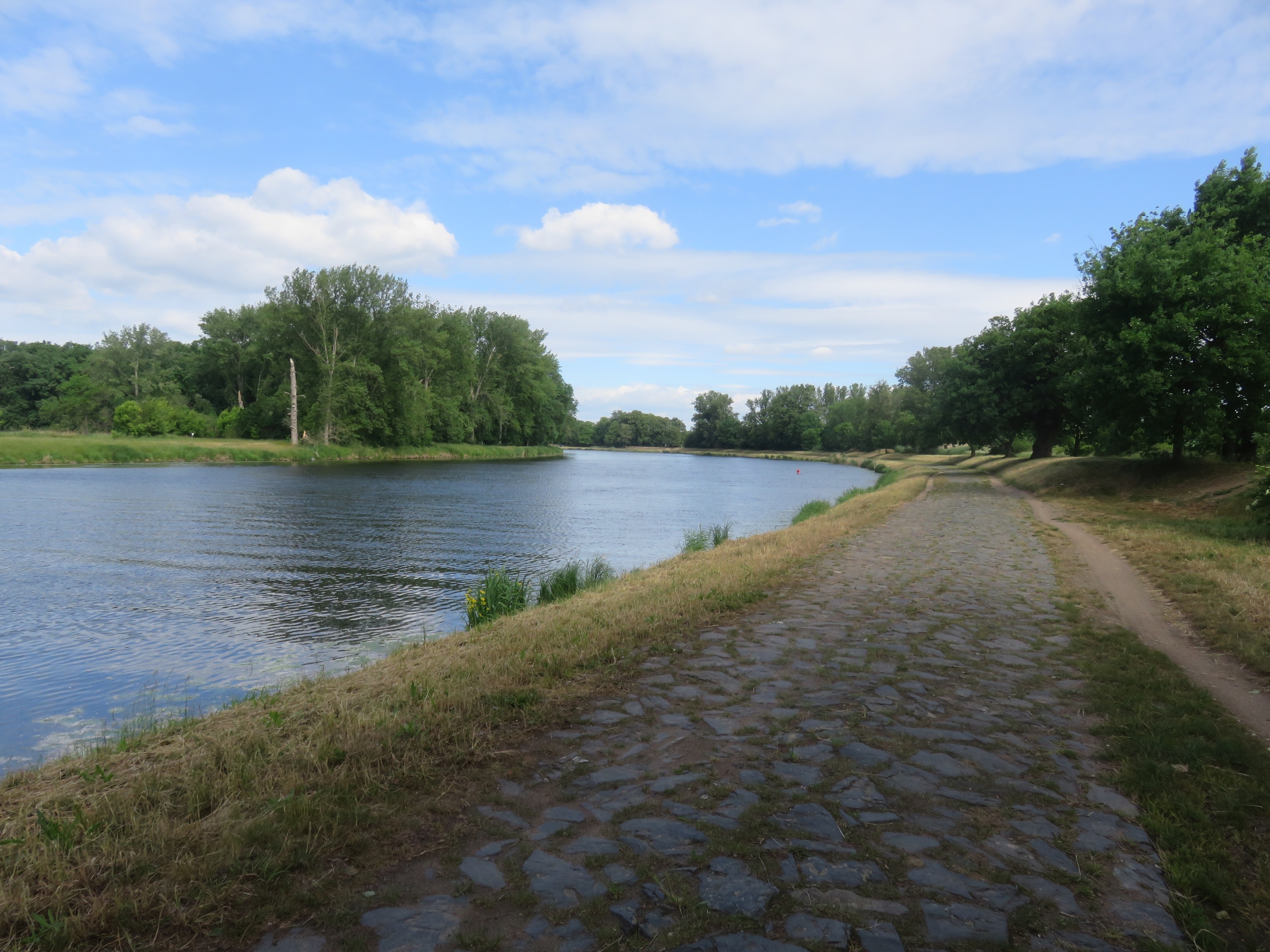 Klicke auf die Grafik für eine vergrößerte Ansicht  Name: Elberadweg - naja.JPG Ansichten: 0 Größe: 2,01 MB ID: 3134521