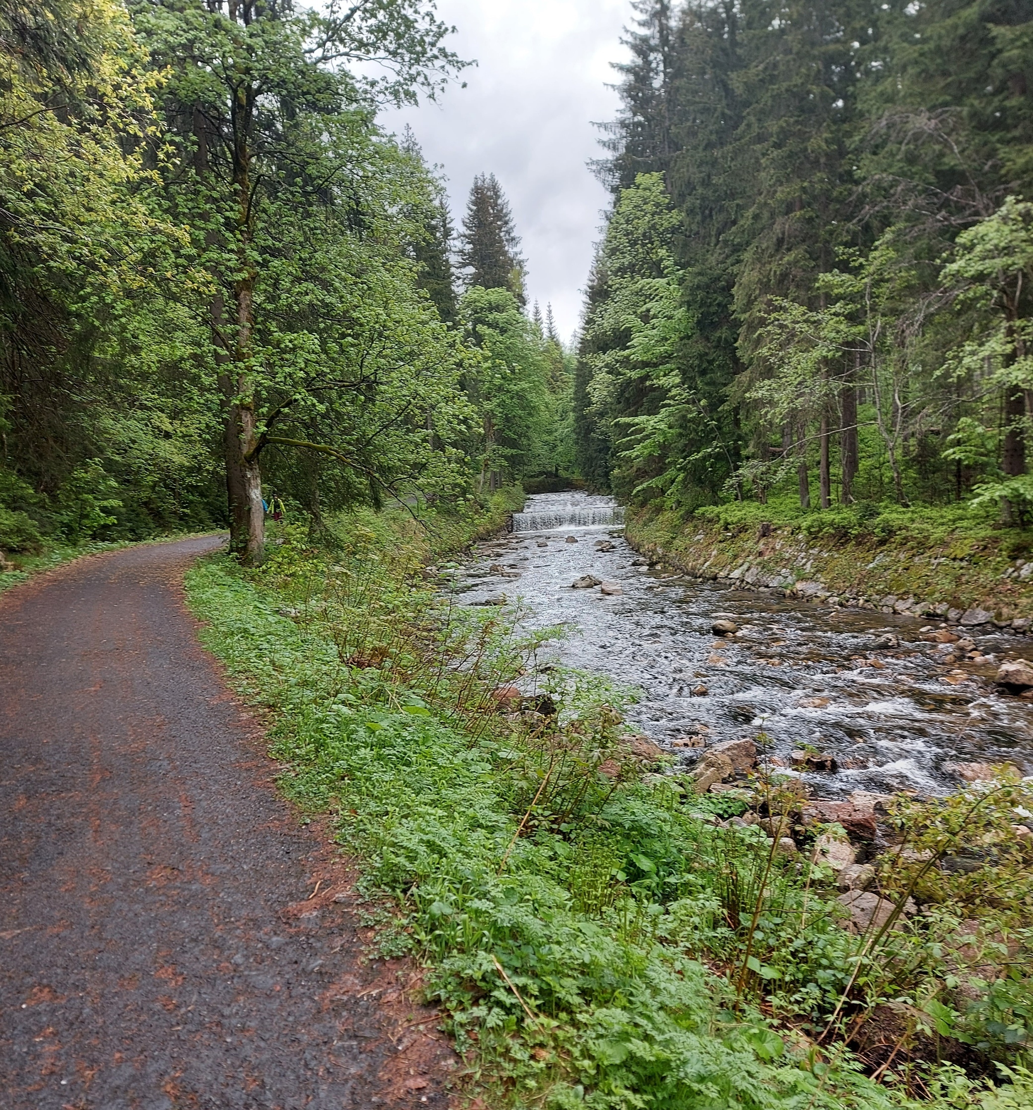 Klicke auf die Grafik für eine vergrößerte Ansicht

Name: Elbe.jpg
Ansichten: 516
Größe: 2,54 MB
ID: 3134738