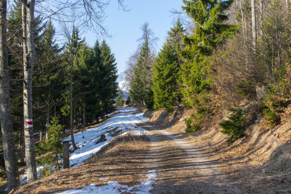 Klicke auf die Grafik für eine vergrößerte Ansicht

Name: 01 Auf dem Weg liegt doch noch einiges an Schnee.jpg
Ansichten: 1733
Größe: 226,8 KB
ID: 3135423