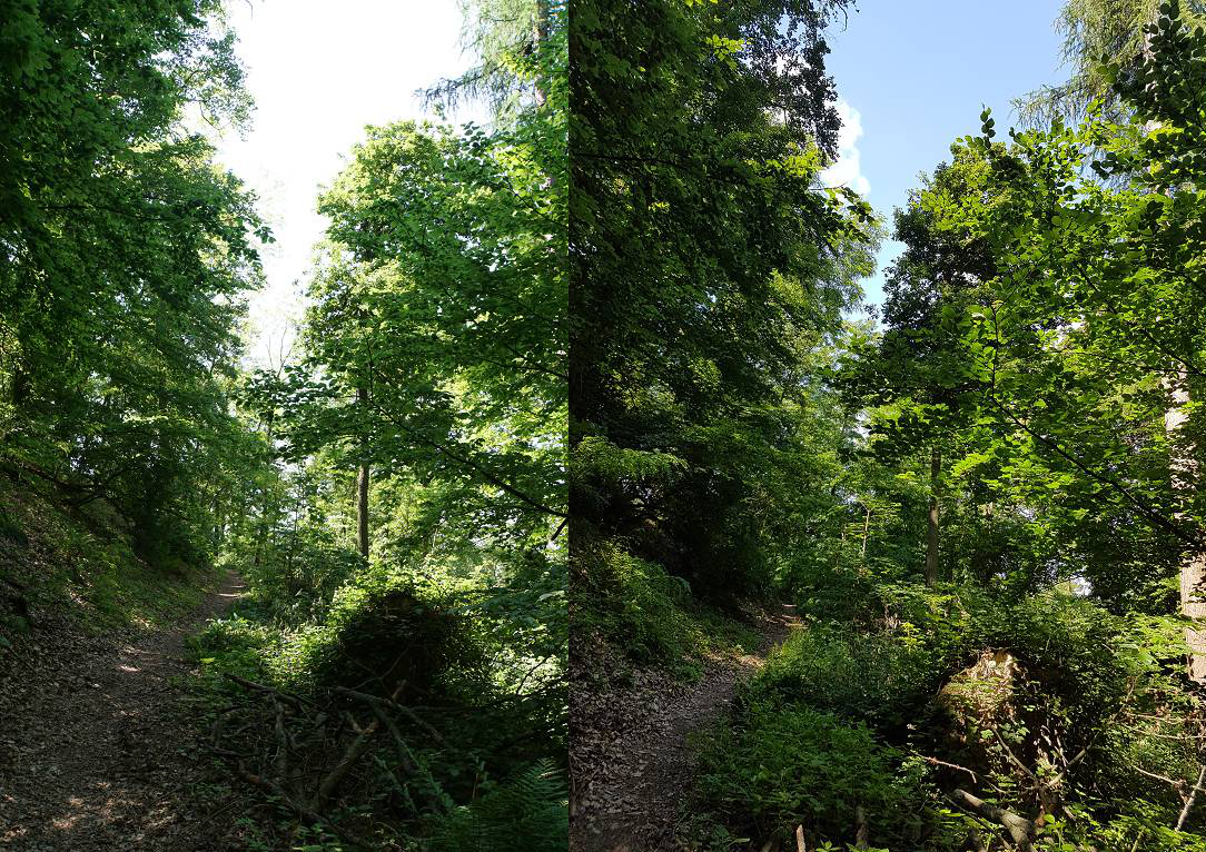 Klicke auf die Grafik für eine vergrößerte Ansicht

Name: 1 6 p.png
Ansichten: 550
Größe: 2,14 MB
ID: 3135647
