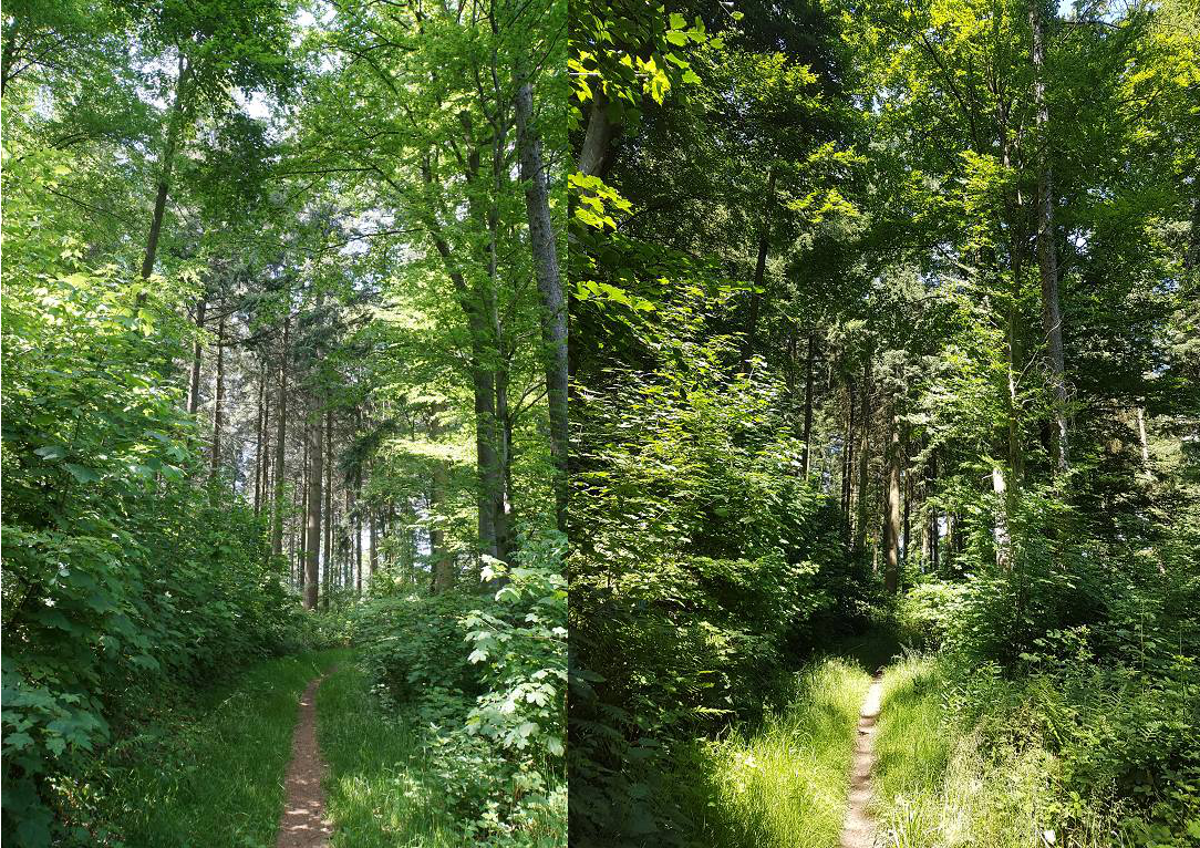 Klicke auf die Grafik für eine vergrößerte Ansicht

Name: 6 6 p.png
Ansichten: 532
Größe: 2,40 MB
ID: 3135658