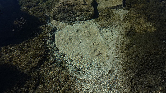 Klicke auf die Grafik für eine vergrößerte Ansicht

Name: DSC04541.JPG
Ansichten: 819
Größe: 711,5 KB
ID: 3135673