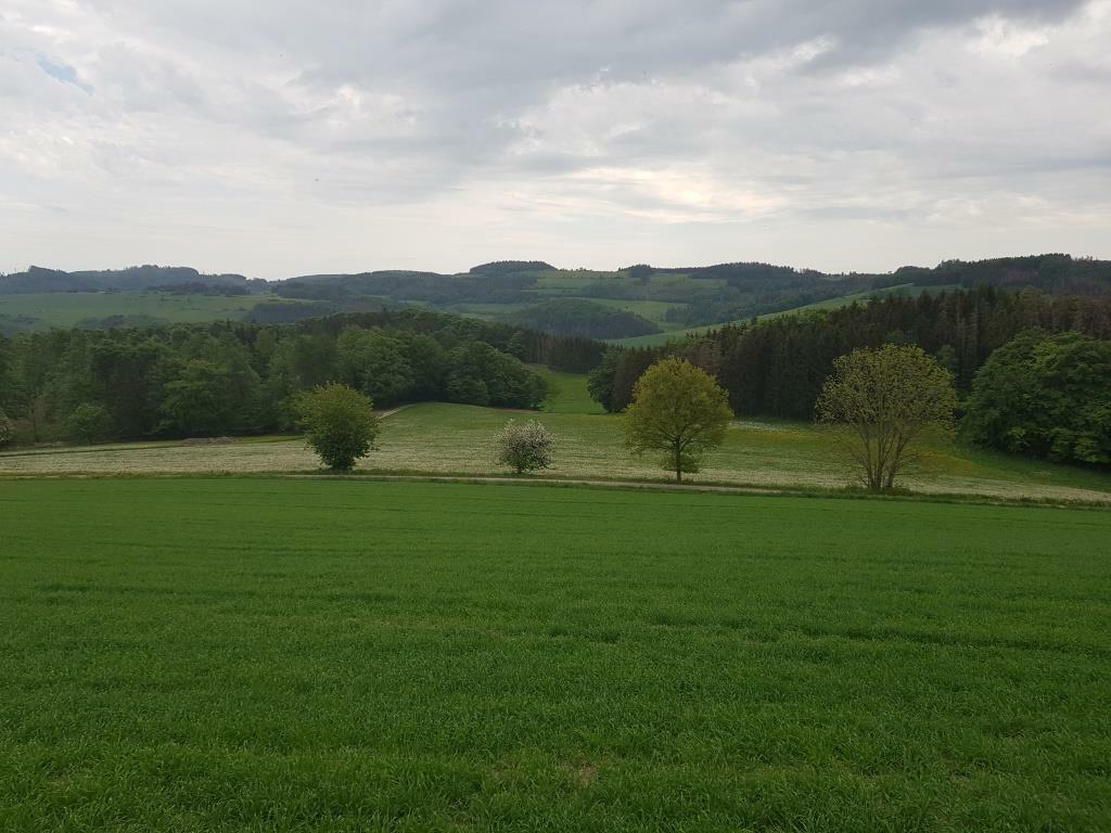 Klicke auf die Grafik für eine vergrößerte Ansicht

Name: 20220516_124624.jpg
Ansichten: 749
Größe: 95,1 KB
ID: 3136599