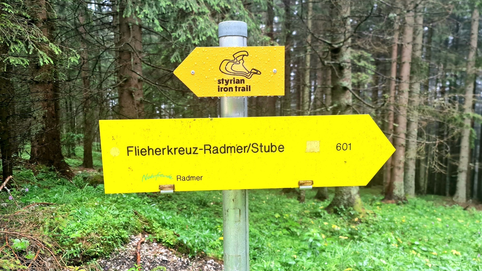 Klicke auf die Grafik für eine vergrößerte Ansicht  Name: 20220629_114023_remastered.jpg Ansichten: 0 Größe: 615,0 KB ID: 3138185