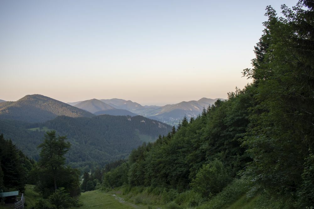 Klicke auf die Grafik für eine vergrößerte Ansicht  Name: 04 Aufstieg zum Fadensattel über die Piste.jpg Ansichten: 0 Größe: 80,0 KB ID: 3142261