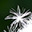 Klicke auf die Grafik für eine vergrößerte Ansicht

Name: Puste_Blume_klein_bergaufwaerts.jpg
Ansichten: 477
Größe: 1,0 KB
ID: 3143580
