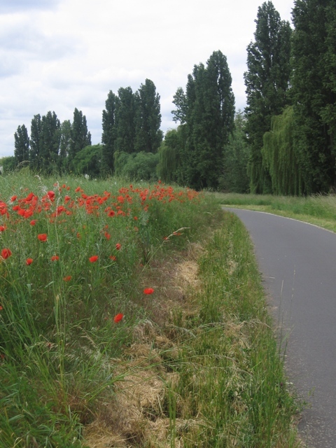 Klicke auf die Grafik für eine vergrößerte Ansicht

Name: 9_1 Mohn.JPG
Ansichten: 507
Größe: 164,2 KB
ID: 3144703