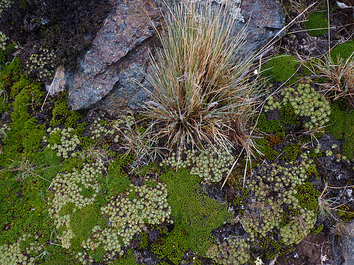 Klicke auf die Grafik für eine vergrößerte Ansicht  Name: 02-27_DientesNavarino-01.JPG Ansichten: 13 Größe: 5,82 MB ID: 3145004