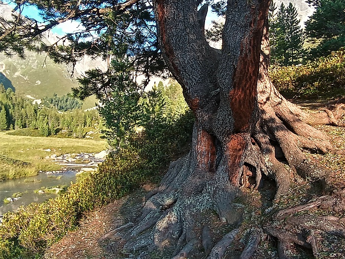 Klicke auf die Grafik für eine vergrößerte Ansicht  Name: 20220724_194551_HDR (2).jpg Ansichten: 0 Größe: 1,39 MB ID: 3145237