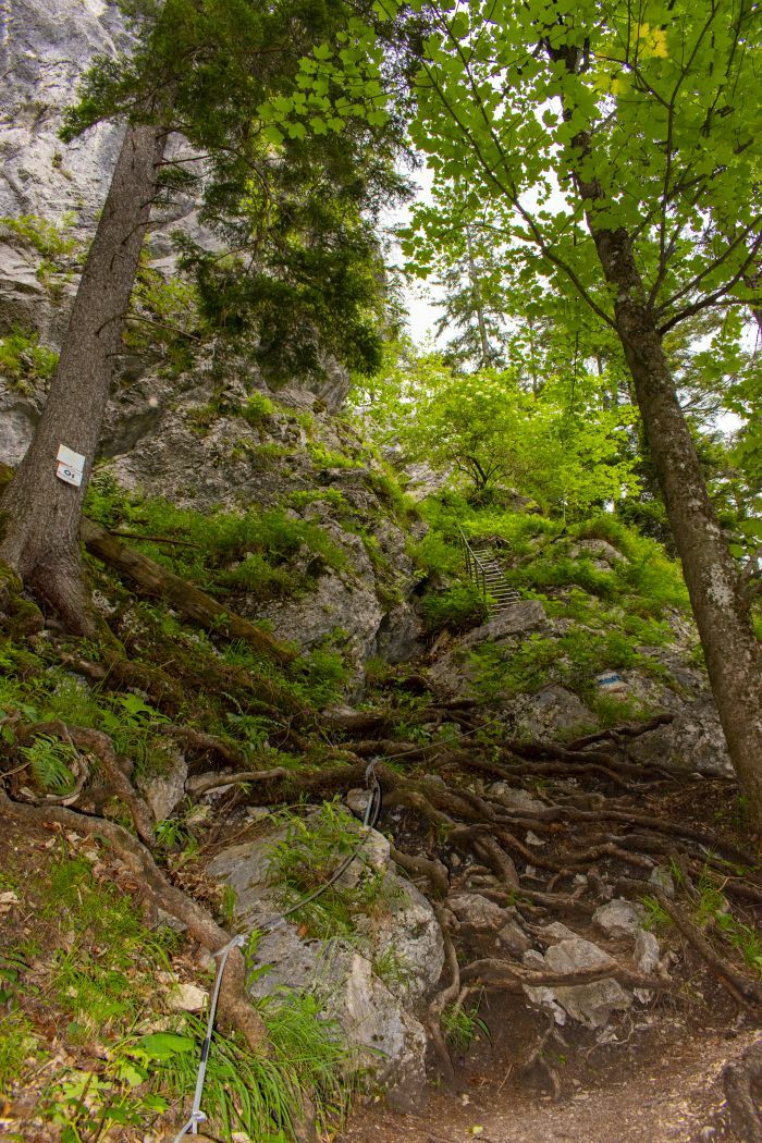 Klicke auf die Grafik für eine vergrößerte Ansicht  Name: 02 Der Nordalpenweg auf dem Steig über den Wachthüttelkamm.jpg Ansichten: 0 Größe: 245,0 KB ID: 3145464
