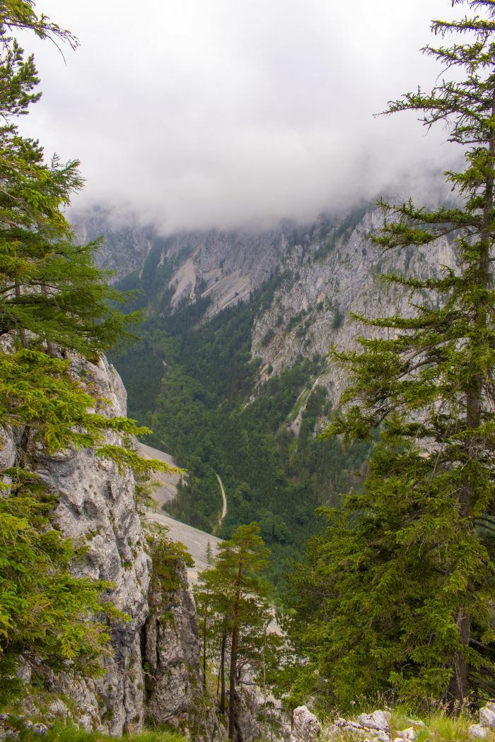 Klicke auf die Grafik für eine vergrößerte Ansicht  Name: 04 Blick ins Große Höllental.jpg Ansichten: 0 Größe: 175,4 KB ID: 3145465