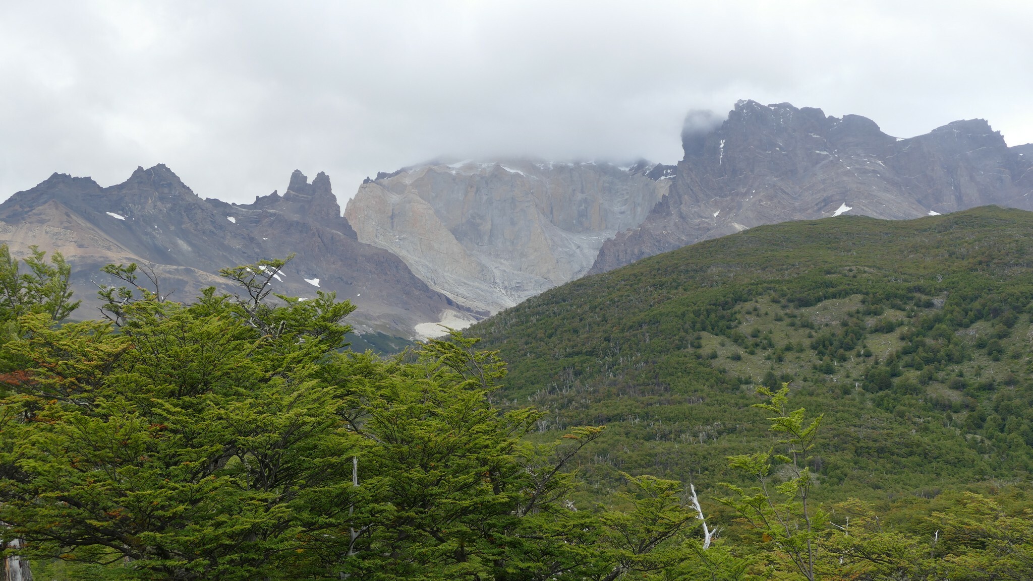 Klicke auf die Grafik für eine vergrößerte Ansicht

Name: Chile2016-03-14_Dickson-Perros-03.JPG
Ansichten: 438
Größe: 657,5 KB
ID: 3145505