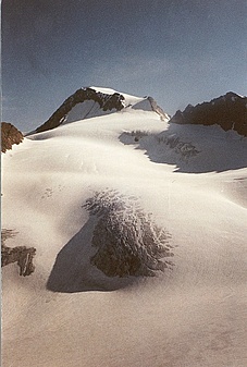 Klicke auf die Grafik für eine vergrößerte Ansicht

Name: 1999 11 weißkugel vom matschertal aus.jpg
Ansichten: 719
Größe: 136,9 KB
ID: 3146440