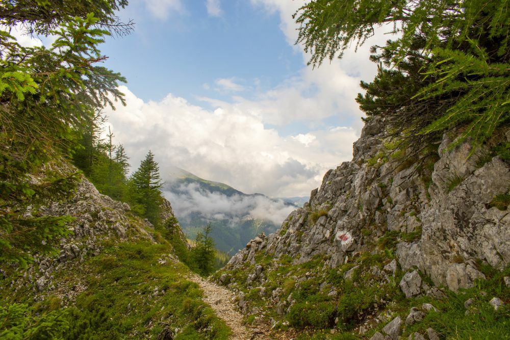 Klicke auf die Grafik für eine vergrößerte Ansicht  Name: 11 Auf dem Weg zum Gupfsattel.jpg Ansichten: 0 Größe: 171,0 KB ID: 3148428