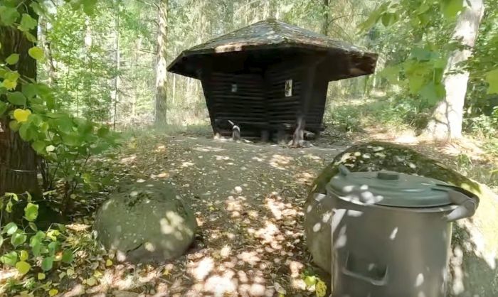Klicke auf die Grafik für eine vergrößerte Ansicht

Name: krufter-waldsee3a.jpg
Ansichten: 225
Größe: 72,9 KB
ID: 3148563