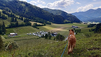 Klicke auf die Grafik für eine vergrößerte Ansicht  Name: 01_campingplatz3.jpg Ansichten: 0 Größe: 3,80 MB ID: 3148608