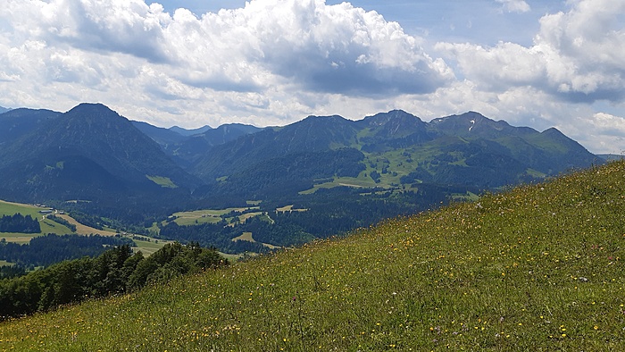 Klicke auf die Grafik für eine vergrößerte Ansicht  Name: 20220617_115222.jpg Ansichten: 0 Größe: 3,20 MB ID: 3148618