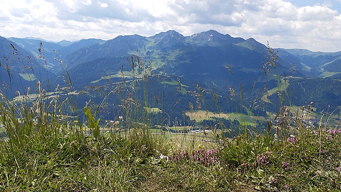 Klicke auf die Grafik für eine vergrößerte Ansicht  Name: 20220617_122558.jpg Ansichten: 0 Größe: 3,66 MB ID: 3148622