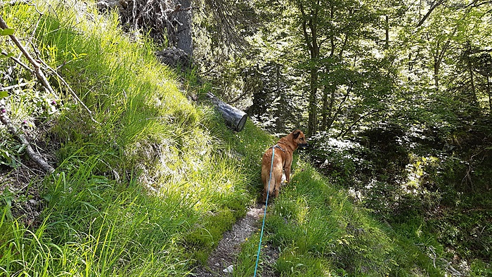 Klicke auf die Grafik für eine vergrößerte Ansicht

Name: 20220618_102346.jpg
Ansichten: 310
Größe: 5,81 MB
ID: 3148709