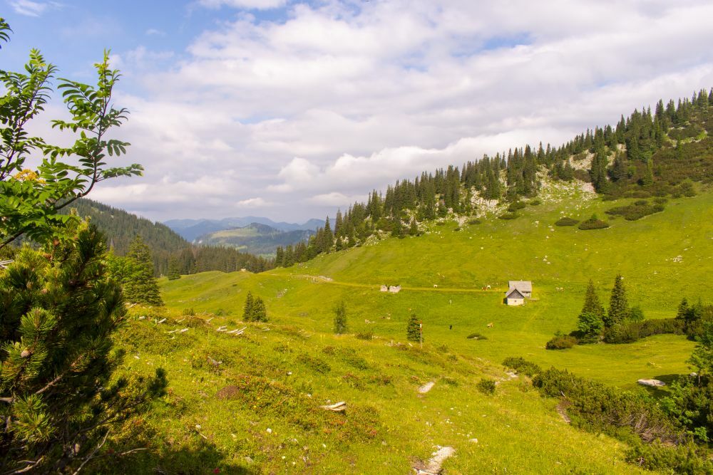 Klicke auf die Grafik für eine vergrößerte Ansicht  Name: 10 Abstieg zur Großbodenalm.jpg Ansichten: 0 Größe: 142,3 KB ID: 3149655