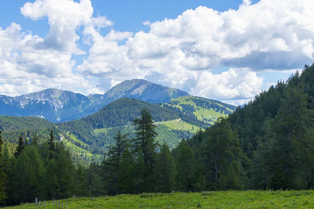 Klicke auf die Grafik für eine vergrößerte Ansicht  Name: 12 Die Hohe Veitsch und die Turnauer Alm.jpg Ansichten: 0 Größe: 105,8 KB ID: 3152174