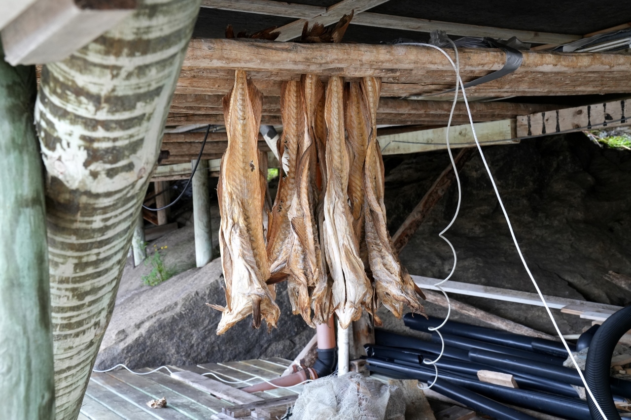 Sogar unter der Hütte hing Stockfisch