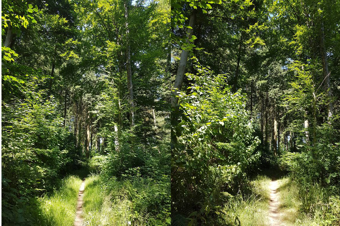 Klicke auf die Grafik für eine vergrößerte Ansicht

Name: 6 7 p.png
Ansichten: 480
Größe: 2,62 MB
ID: 3150721