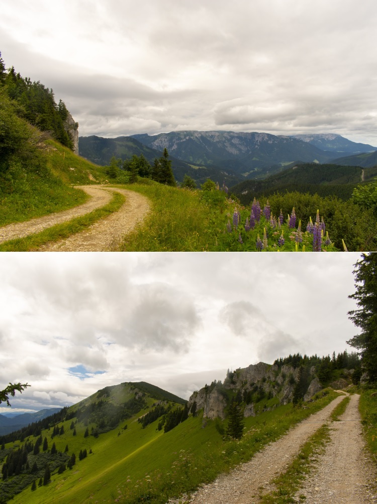 Klicke auf die Grafik für eine vergrößerte Ansicht  Name: 11 Der Aufstieg von der Klein-Veitsch-Alm.jpg Ansichten: 0 Größe: 216,8 KB ID: 3150891