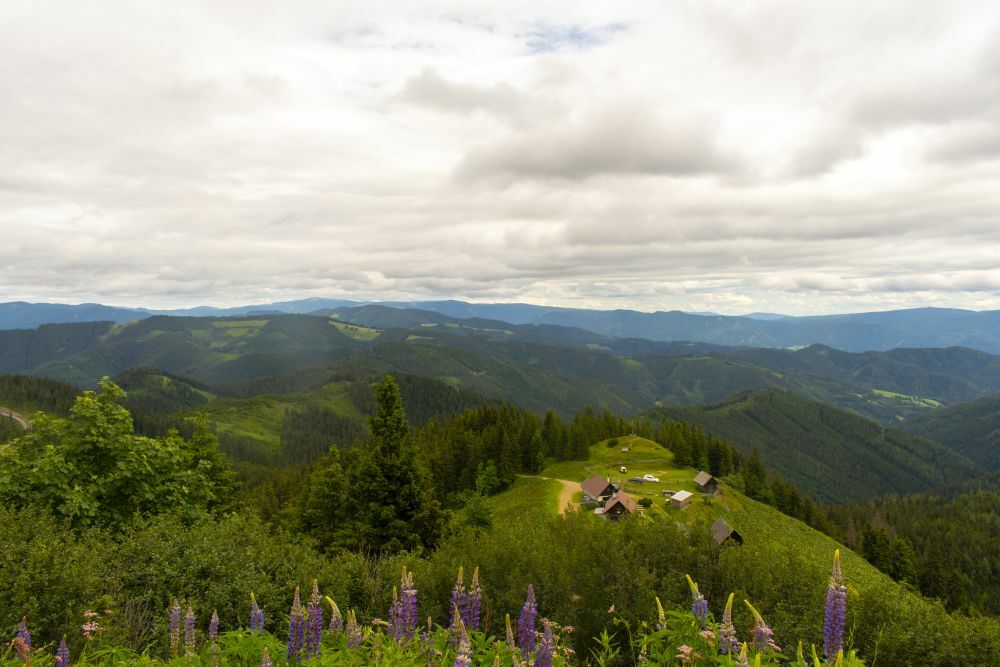Klicke auf die Grafik für eine vergrößerte Ansicht  Name: 10 Rückblick über die Grundbauerhütte hinweg.jpg Ansichten: 0 Größe: 94,7 KB ID: 3150893