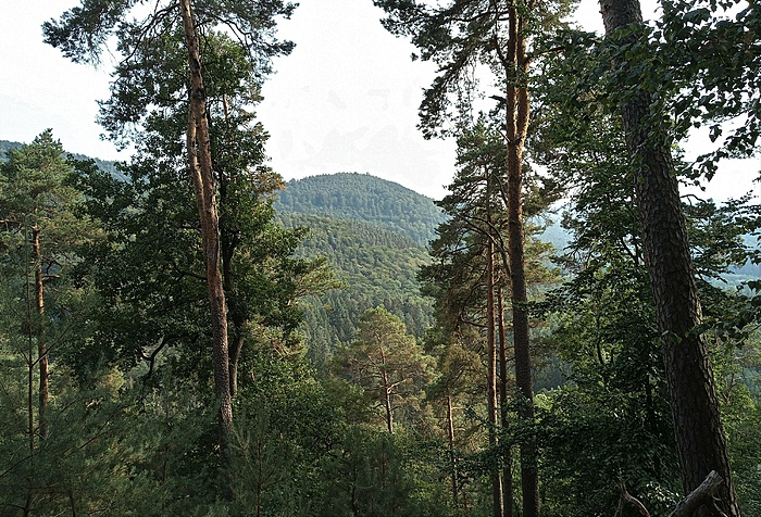 Klicke auf die Grafik für eine vergrößerte Ansicht  Name: 20220826_171647_HDR (3).jpg Ansichten: 0 Größe: 4,40 MB ID: 3151418