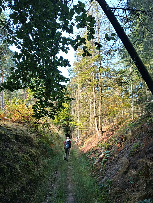 Klicke auf die Grafik für eine vergrößerte Ansicht  Name: 20220828_092853_HDR (2).jpg Ansichten: 653 Größe: 4,19 MB ID: 3151780