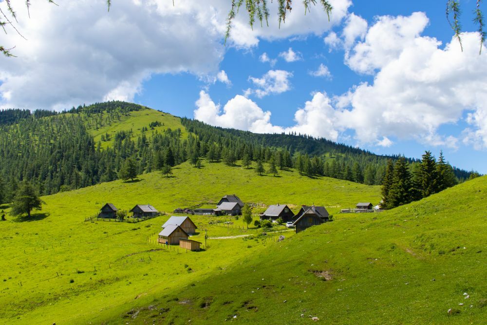 Klicke auf die Grafik für eine vergrößerte Ansicht  Name: 11 Die Göriacher Alm mit der Strobelhütte.jpg Ansichten: 0 Größe: 127,9 KB ID: 3152172