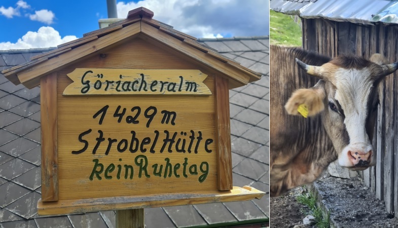 Klicke auf die Grafik für eine vergrößerte Ansicht  Name: 13 Pause an der Strobel Hütte.jpg Ansichten: 0 Größe: 134,6 KB ID: 3152176