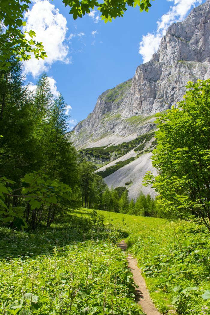 Klicke auf die Grafik für eine vergrößerte Ansicht  Name: 19 Tolle Wege hinauf zur Voisthaler Hütte.jpg Ansichten: 0 Größe: 230,9 KB ID: 3152181