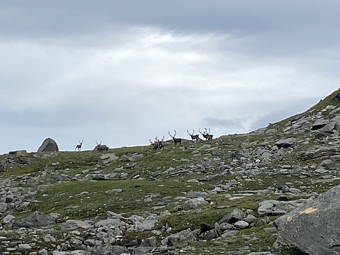 Klicke auf die Grafik für eine vergrößerte Ansicht  Name: Norwegen184.JPG Ansichten: 0 Größe: 1,56 MB ID: 3152448