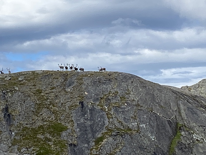Klicke auf die Grafik für eine vergrößerte Ansicht  Name: Norwegen197.JPG Ansichten: 0 Größe: 1,64 MB ID: 3152464