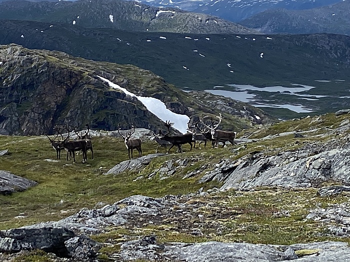 Klicke auf die Grafik für eine vergrößerte Ansicht  Name: Norwegen198.JPG Ansichten: 0 Größe: 2,48 MB ID: 3152465