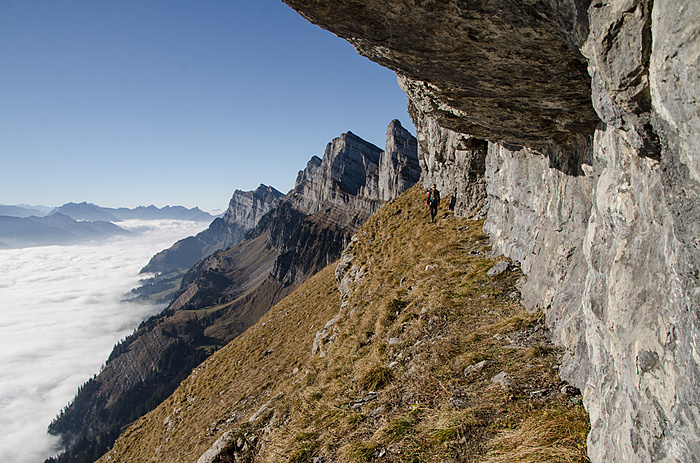 Klicke auf die Grafik für eine vergrößerte Ansicht

Name: 20181118-1413-DSC_6937.jpg
Ansichten: 792
Größe: 871,0 KB
ID: 3152905