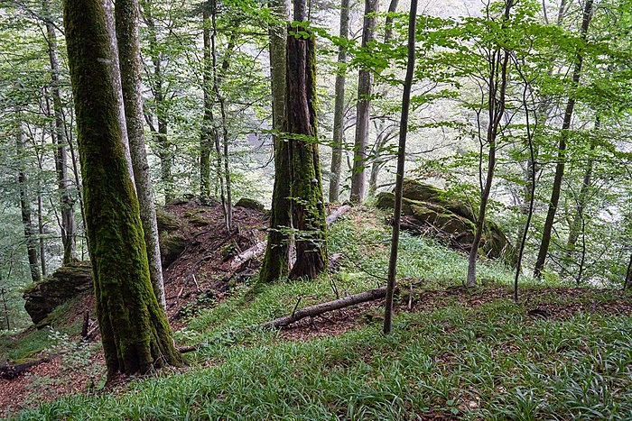 Klicke auf die Grafik für eine vergrößerte Ansicht  Name: _DSC1334_edited (Copy).jpg Ansichten: 0 Größe: 560,7 KB ID: 3153198
