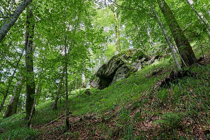 Klicke auf die Grafik für eine vergrößerte Ansicht  Name: _DSC1370_edited (Copy).jpg Ansichten: 0 Größe: 599,1 KB ID: 3153209